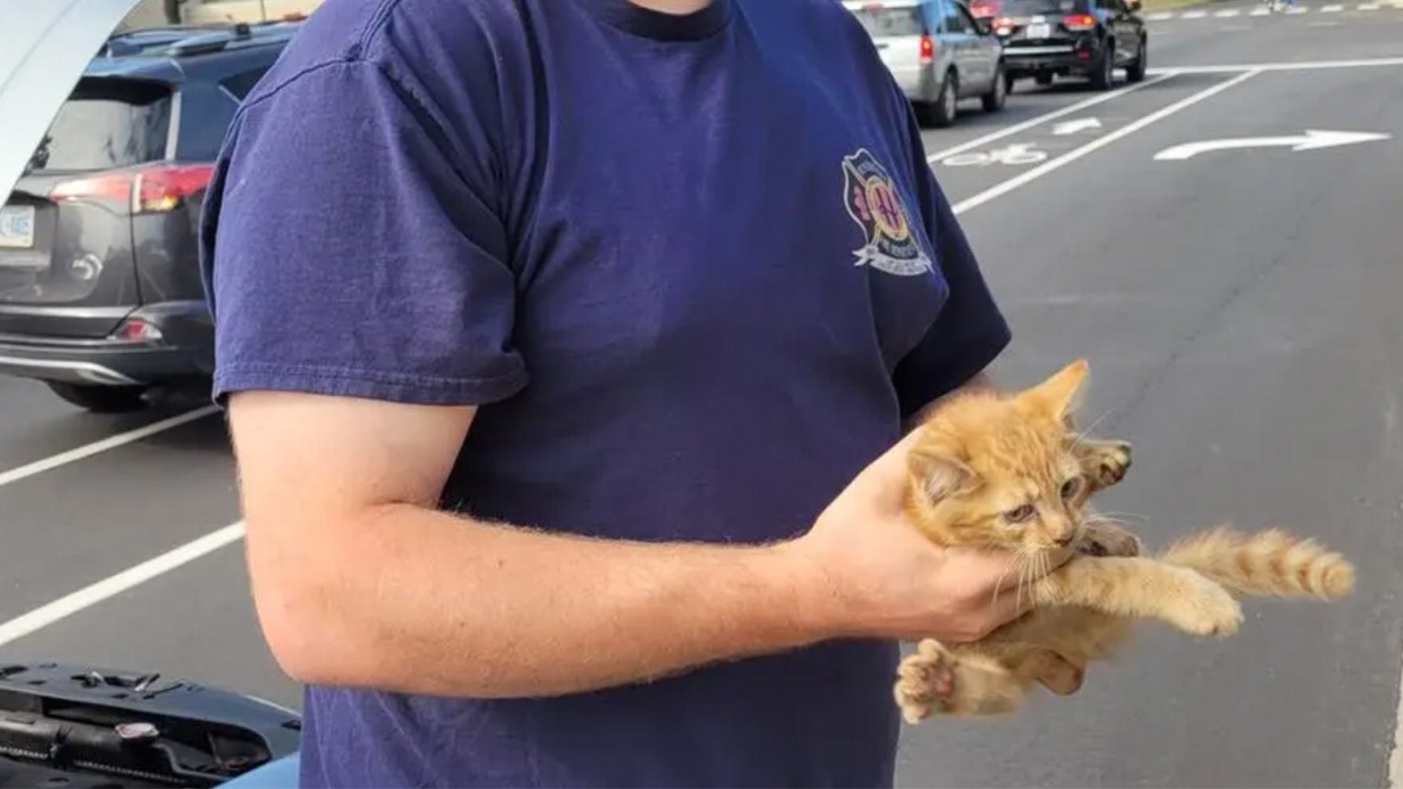 First Responders Save Tiny Kitten Stuck In Car Wheel Well 