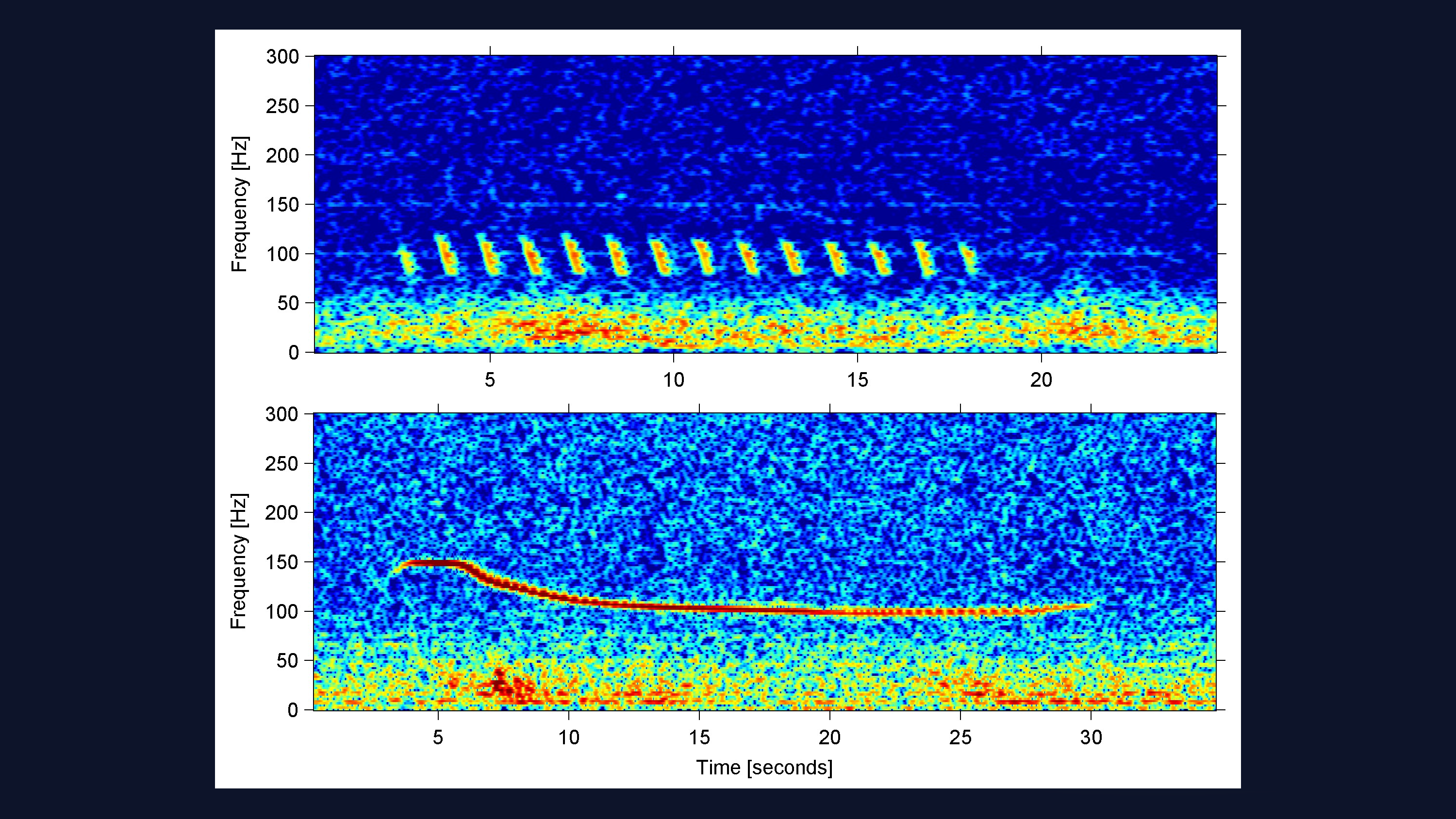 riceswhalespectrogram.png