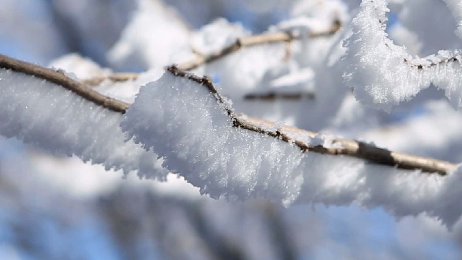What Is Rime Ice? How Is It Formed? | Weather.com