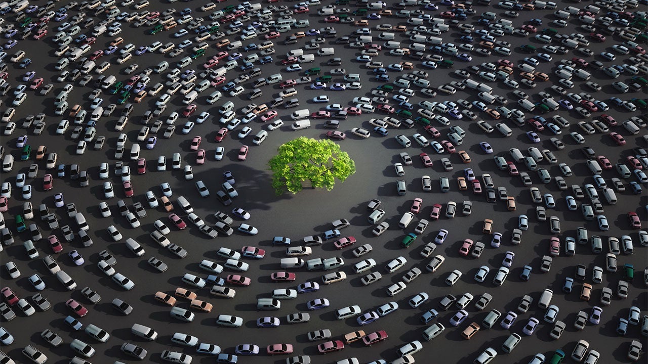 Who Hates You: Biggest Driving Rivalries