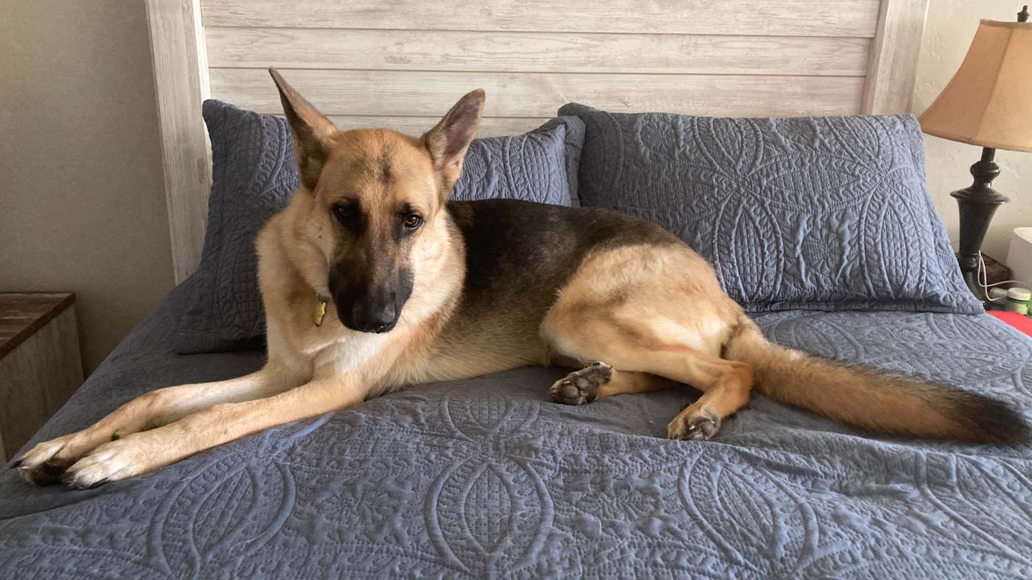 Weather Buddies: 'Rocky'