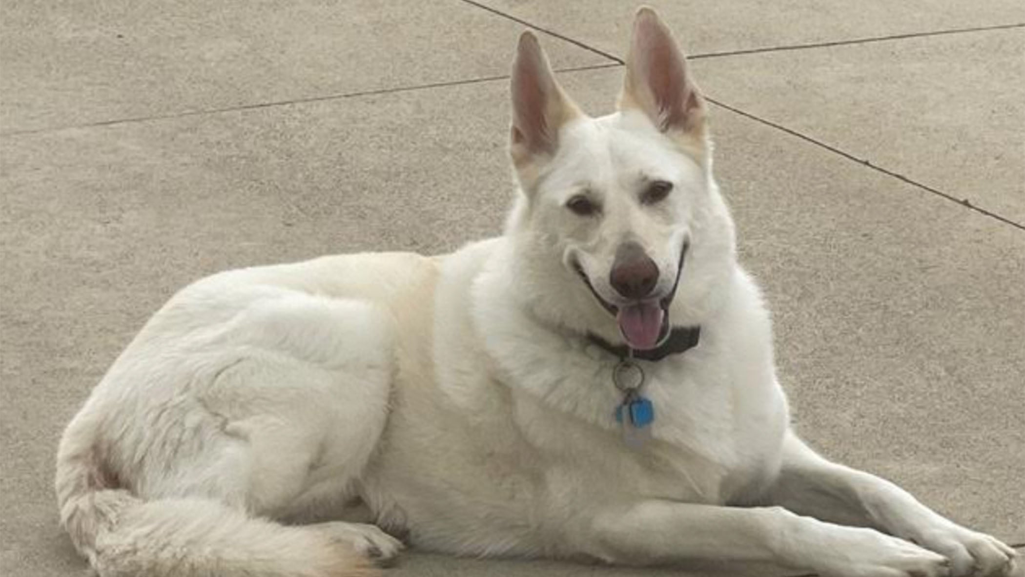 Weather Buddies: 'Rollo'