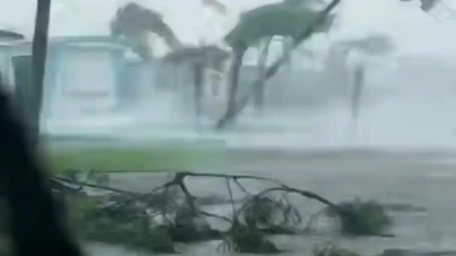 Hurricane Ian’s Winds Toppled Trees And Shredded Buildings Through