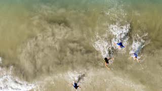 Father With Drone Spots Shark Lurking Near Family In Florida Videos From The Weather Channel Weather Com Father With Drone Spots Shark Lurking Near Family In Florida Videos From The Weather Channel Weather Com