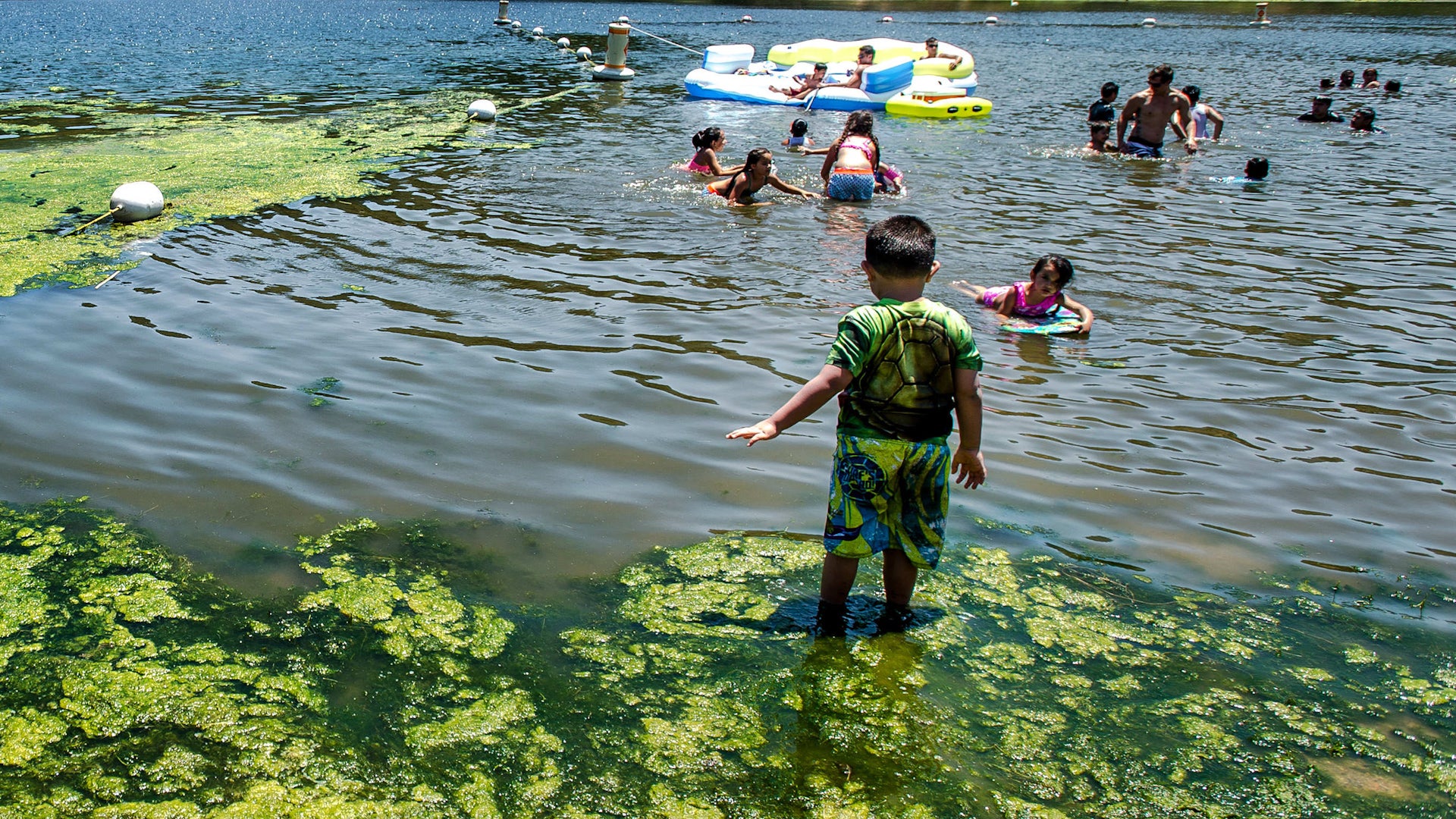 People Warned After Toxic Algae Found In California Lake
