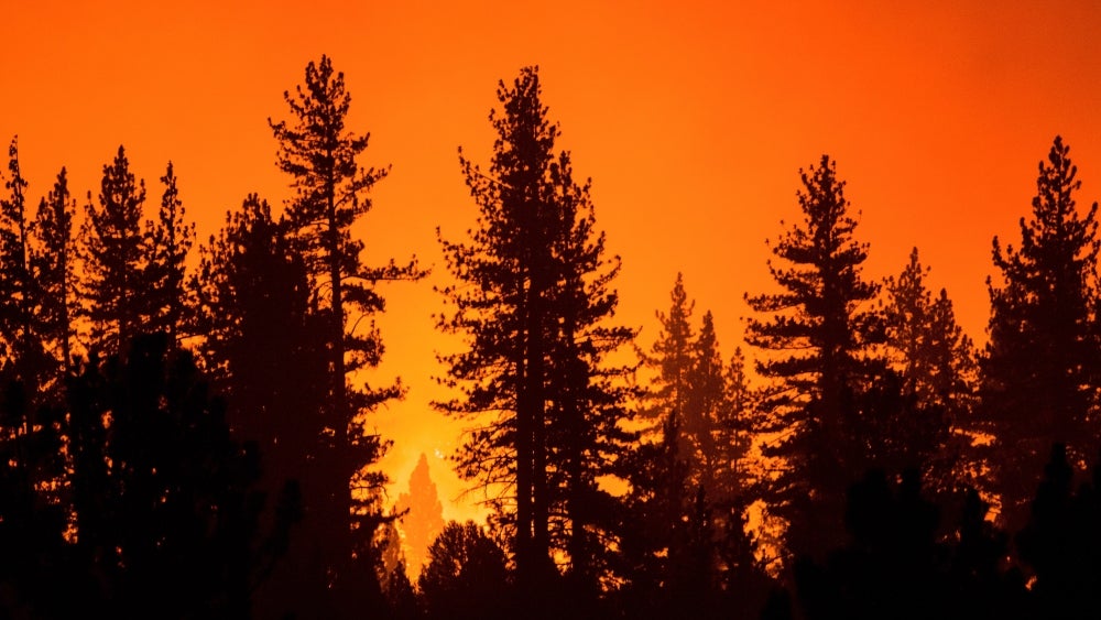 On This Date: The Carolinas' Great Fire of 1898