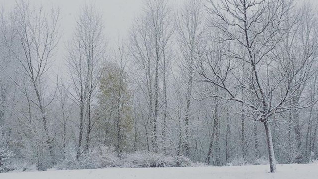 Winter Storm Argos a Record Snowstorm For Binghamton, New
