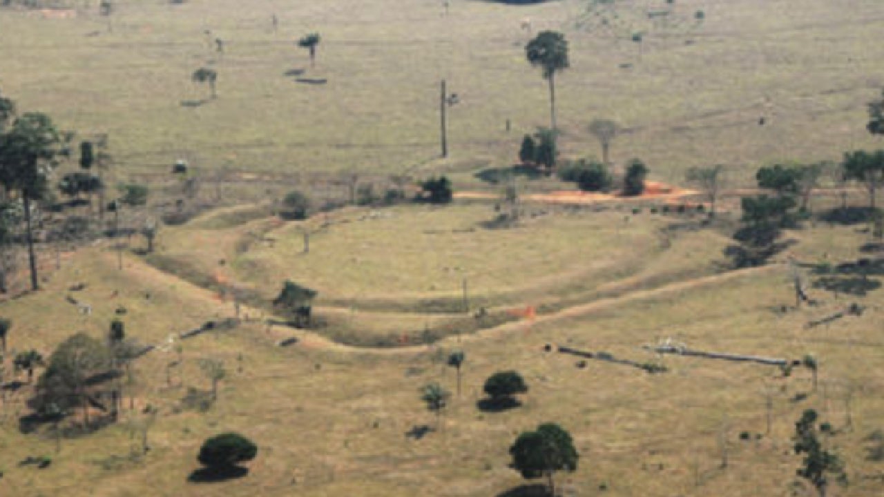 Amazon Geoglyphs Prove Hundreds of Thousands Lived in Rainforest Before