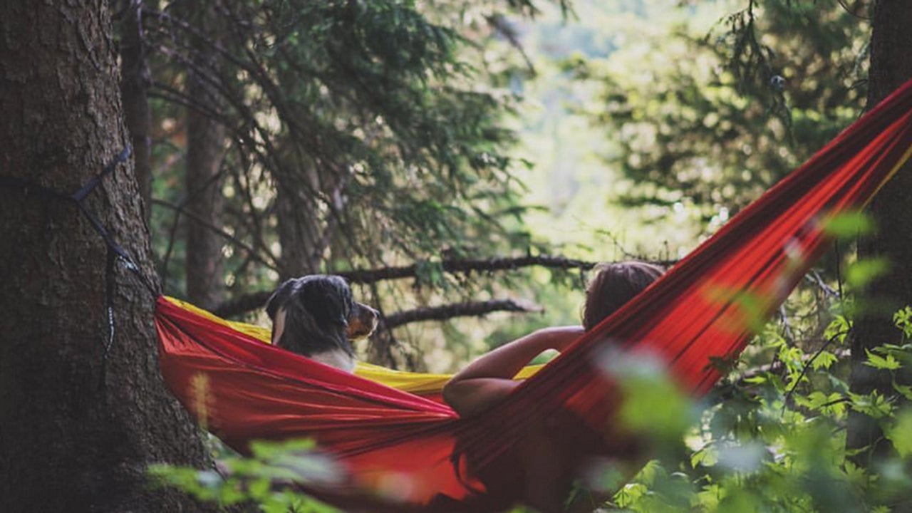 Camp Vicariously Through These Pups (PHOTOS)