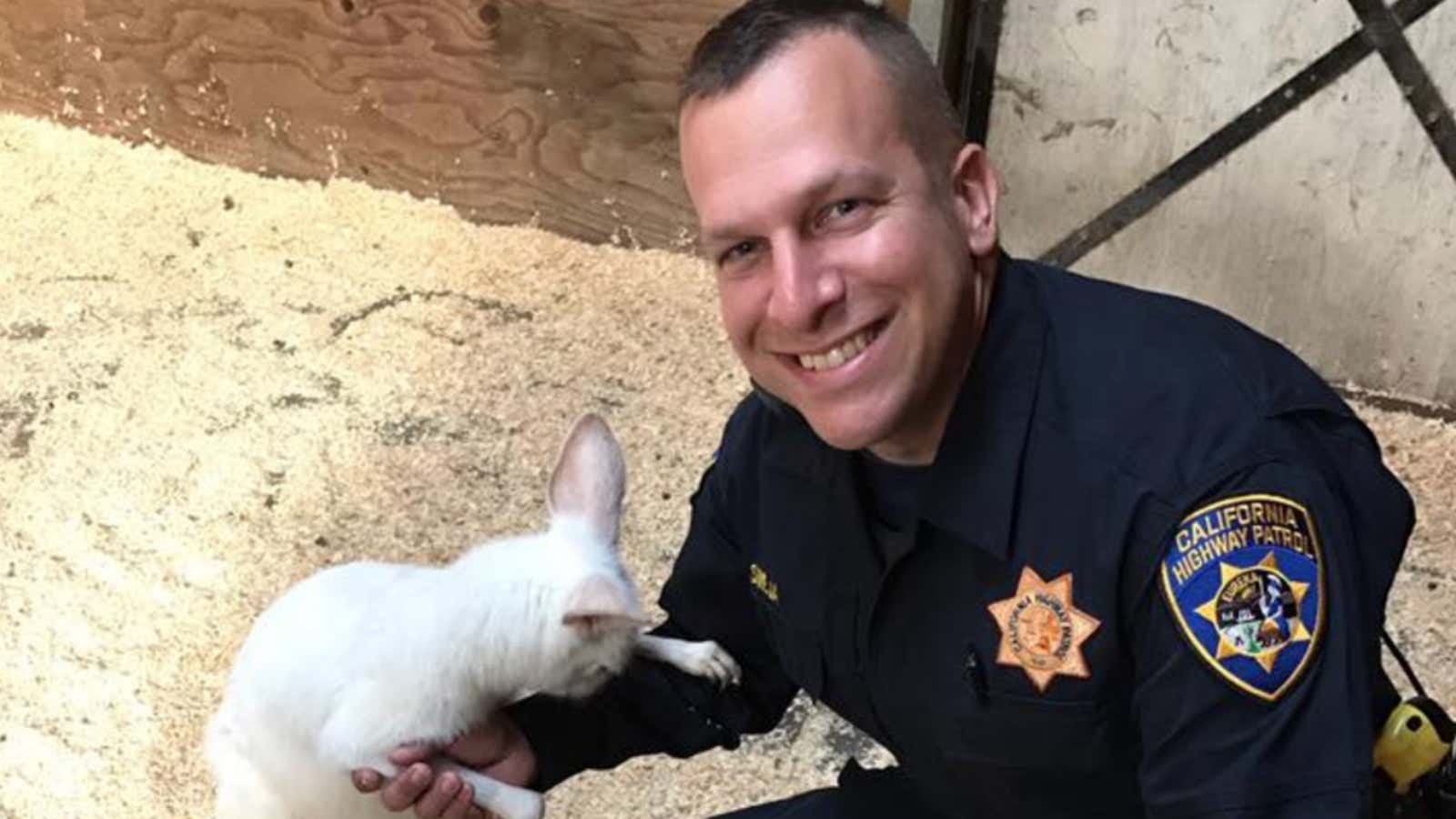 California Humane Police California Highway Patrol Rescues Exotic Animals Abandoned in Oroville ...