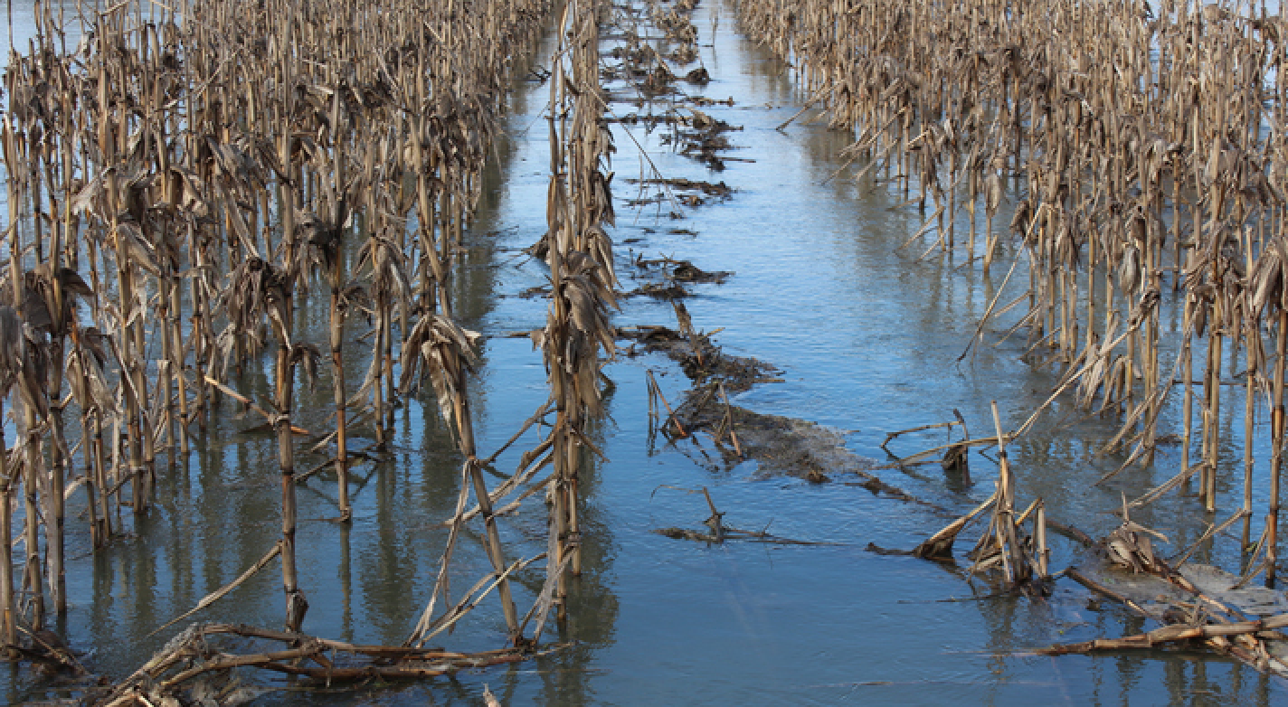 Weather Words: 'Water-Slain'