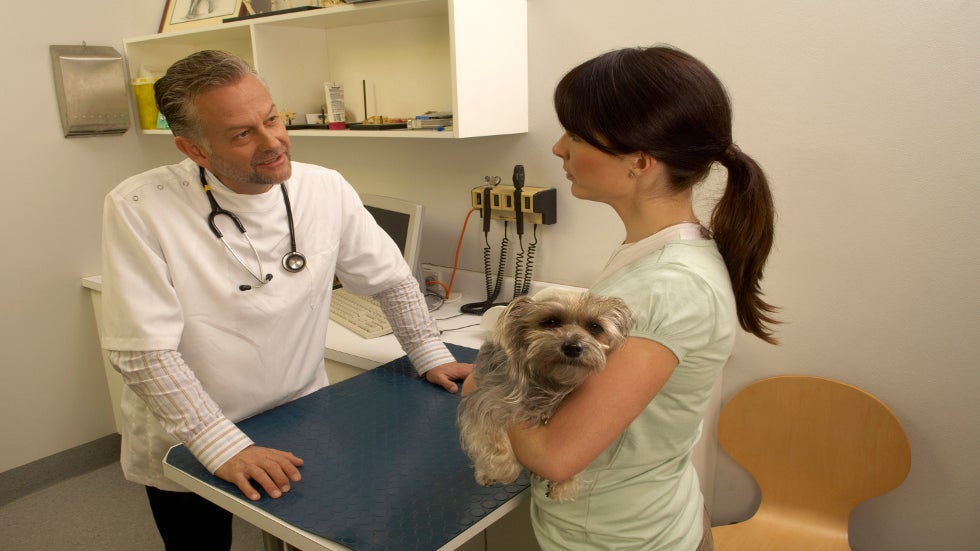  Make a First Aid Kit for Your Pet &ndash; Here&rsquo;s How!