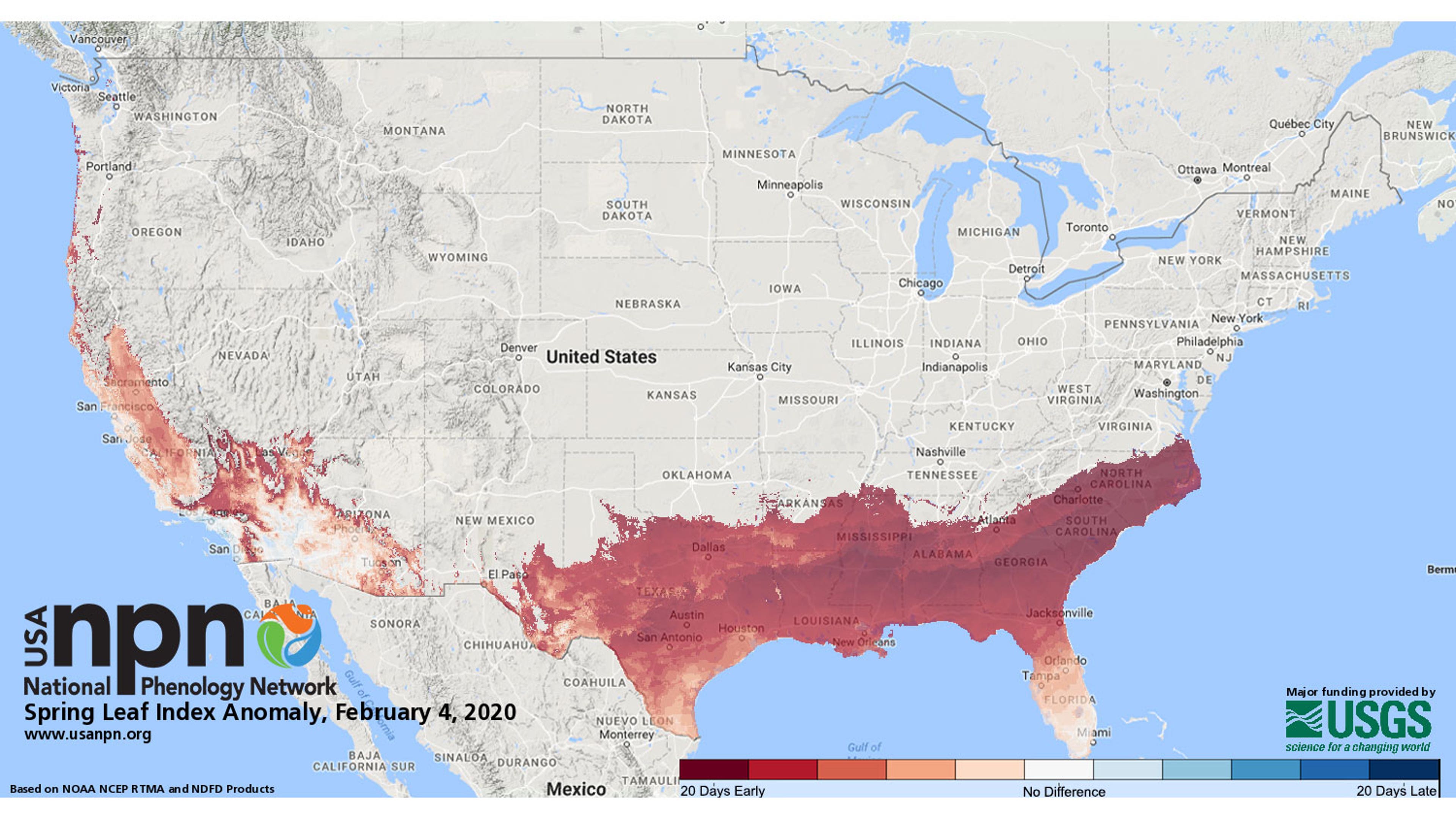 six-leaf-index-anomaly_0.jpg