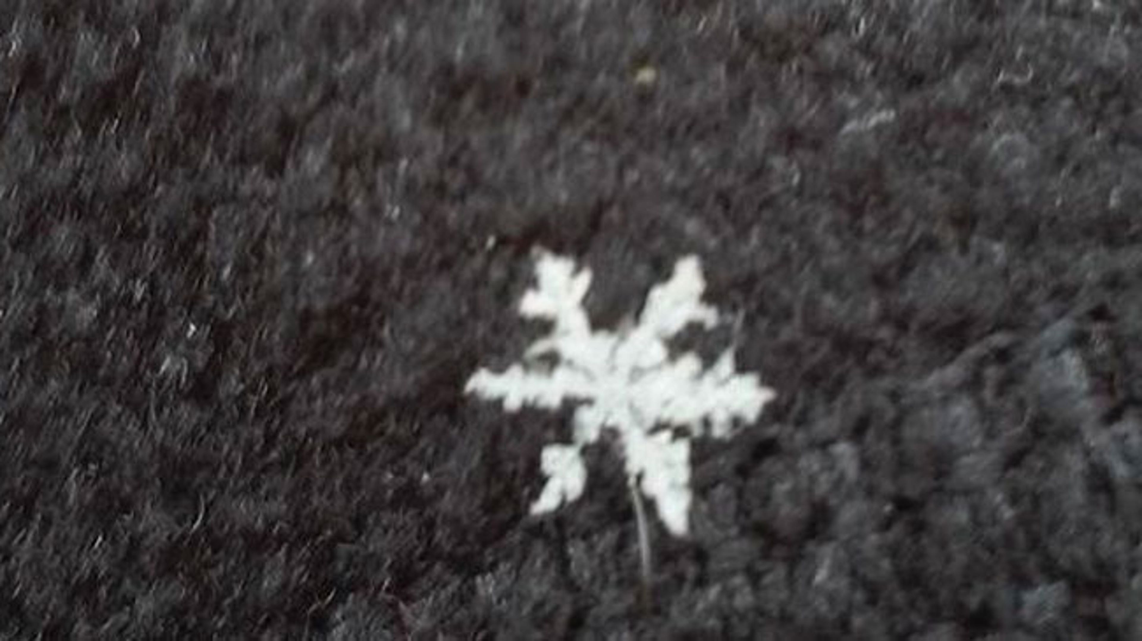 small-snowflake.jpg