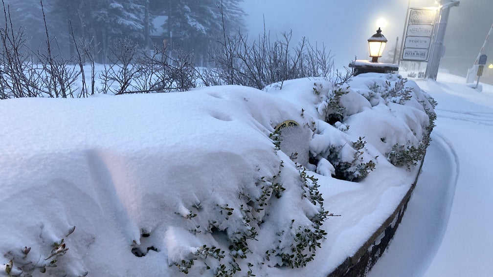 snow22_peter_forister_snowshoewv_may2023.jpg