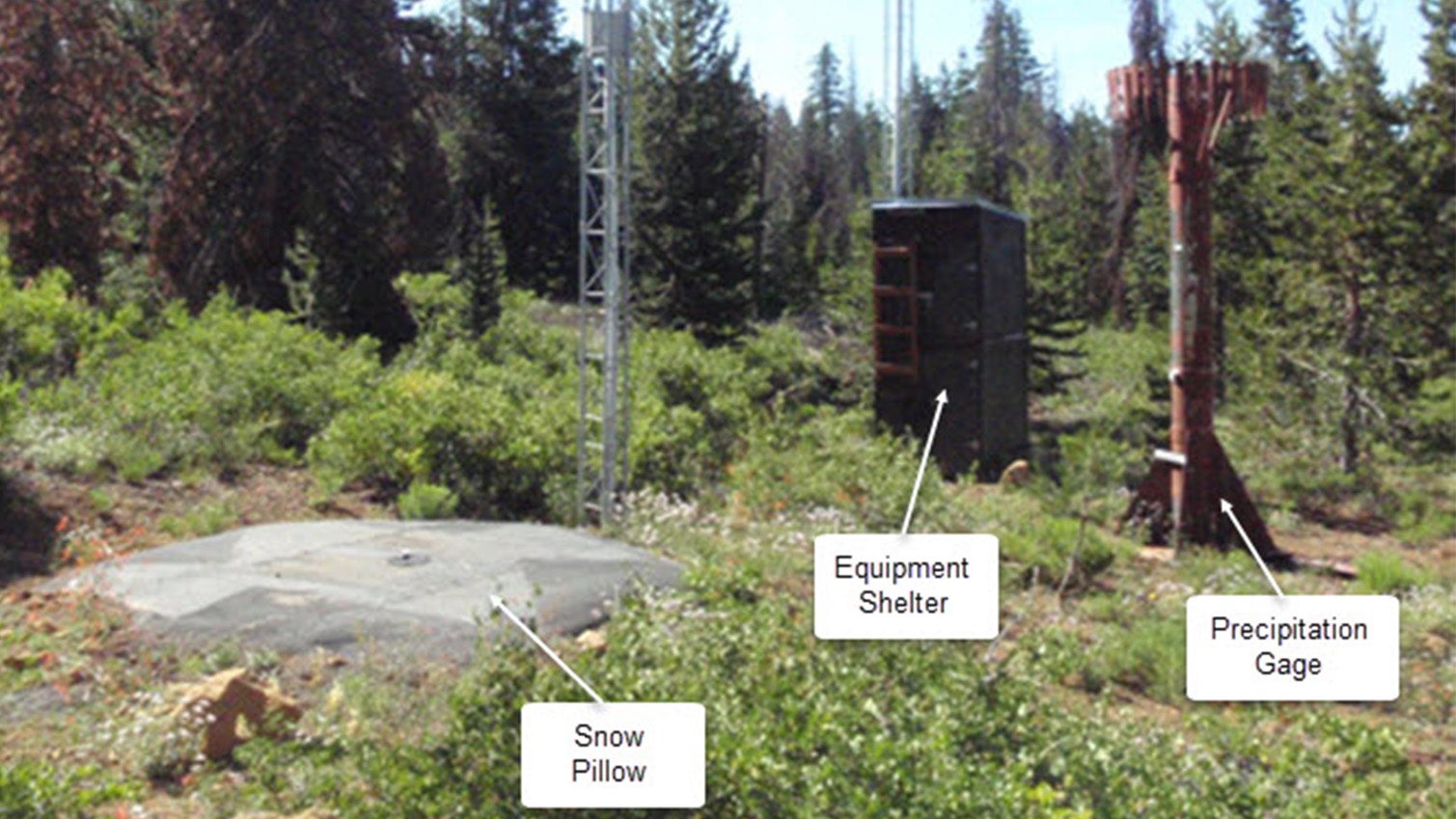 Weather Words 'Snow Pillow'