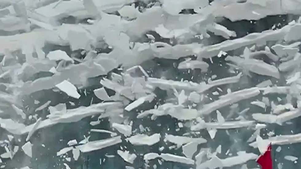 Roger the Roo Was an Inspiration to Bodybuilders Everywhere - Videos ...