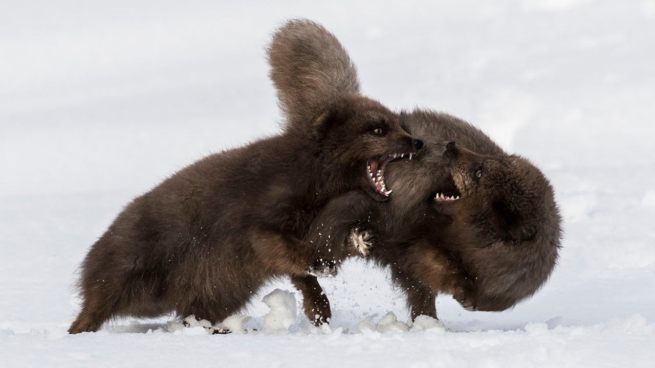 Entries for 2020 Sony World Photography Awards (PHOTOS)