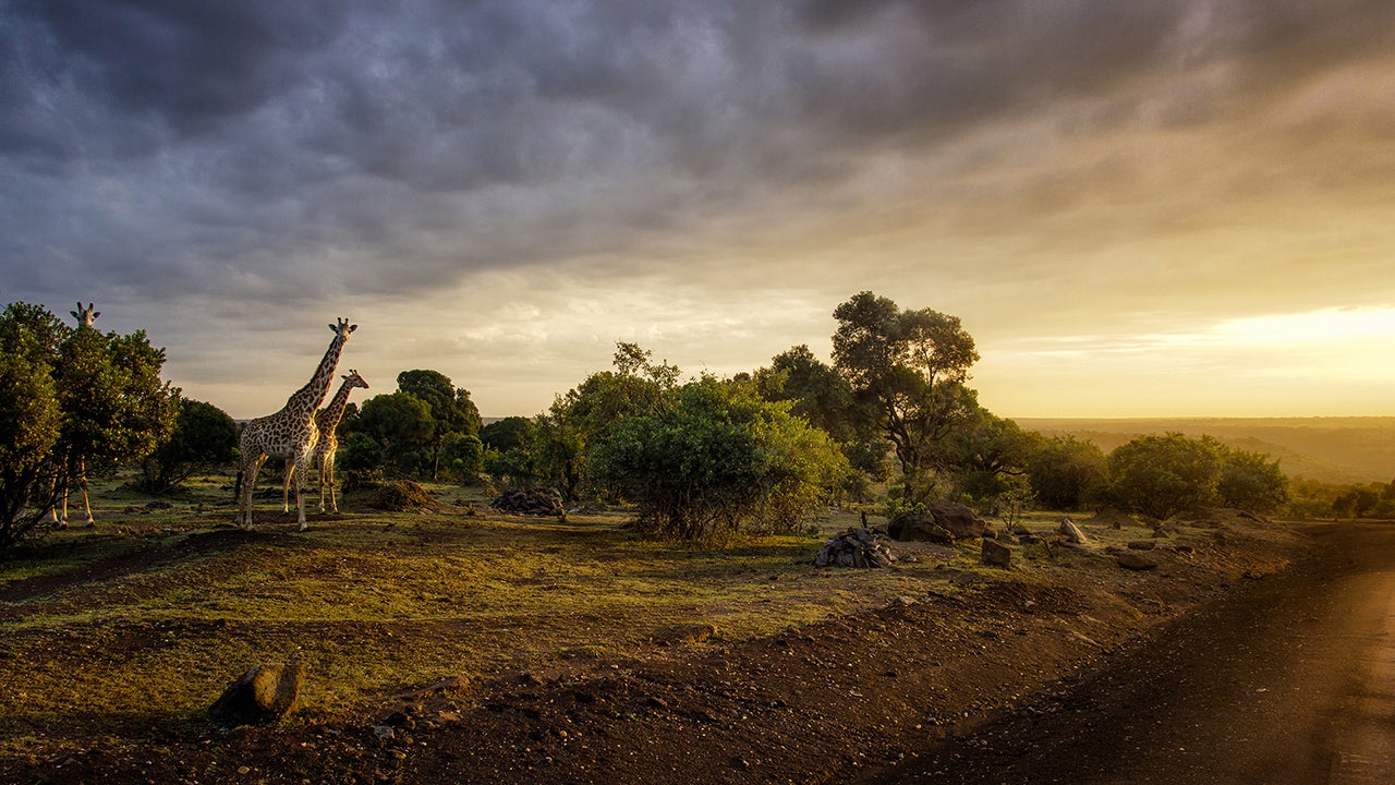 Amazing Finalists From the Sony World Photography Awards (PHOTOS)