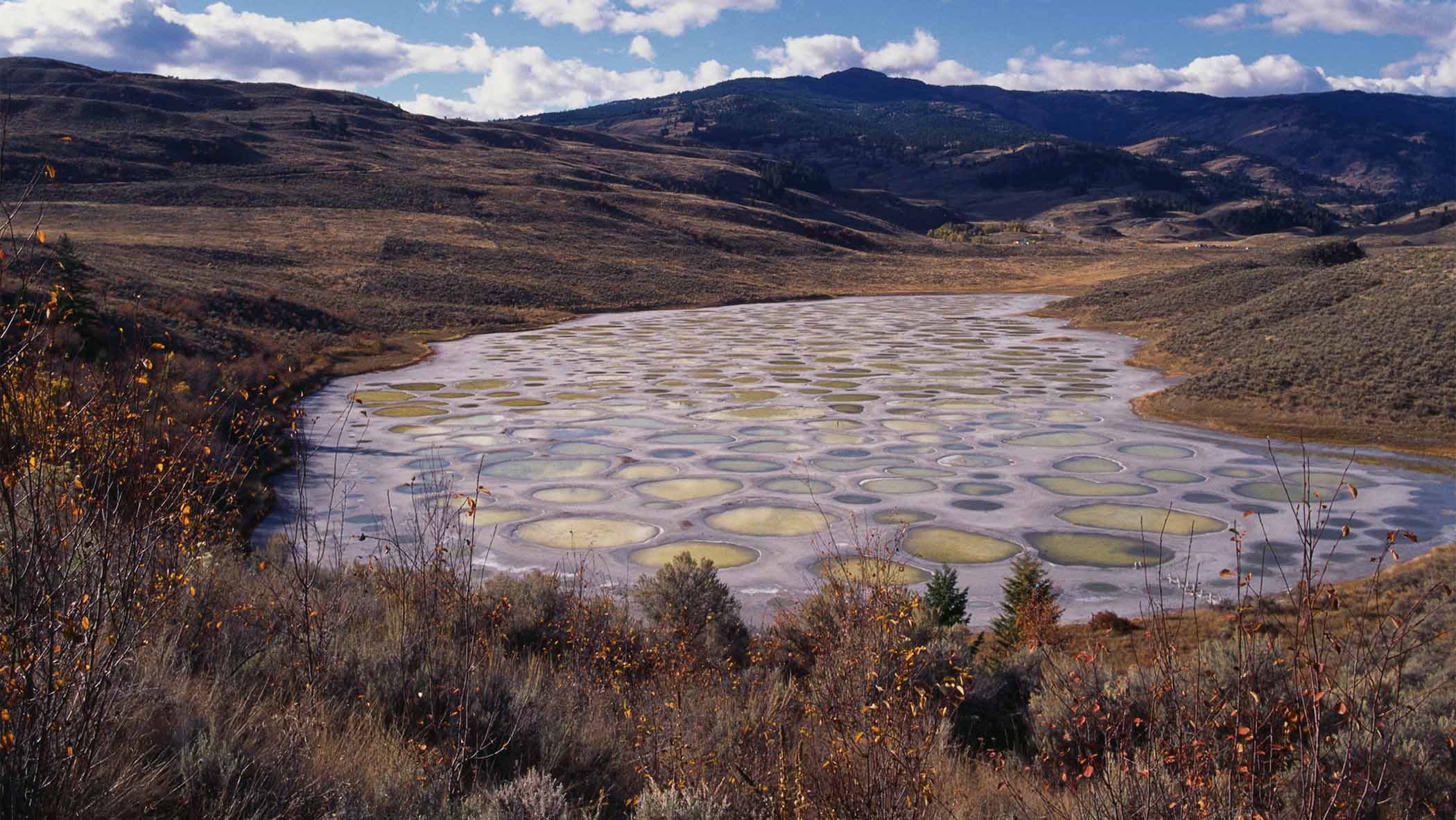 A photograph of Spotted Lake