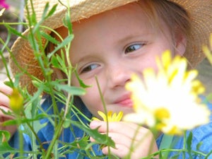 7 Signs of a Spring Allergy