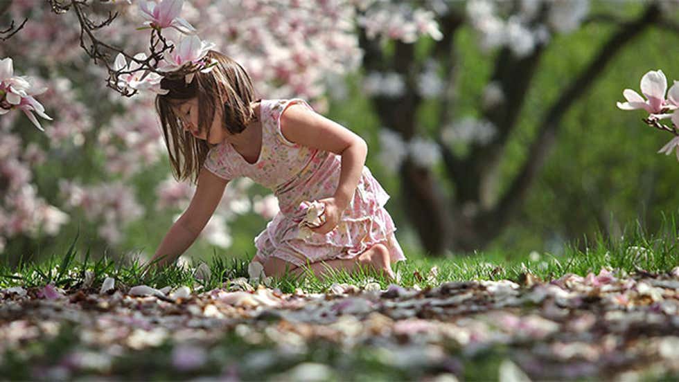 What Makes It So Windy In Spring? | Weather.com