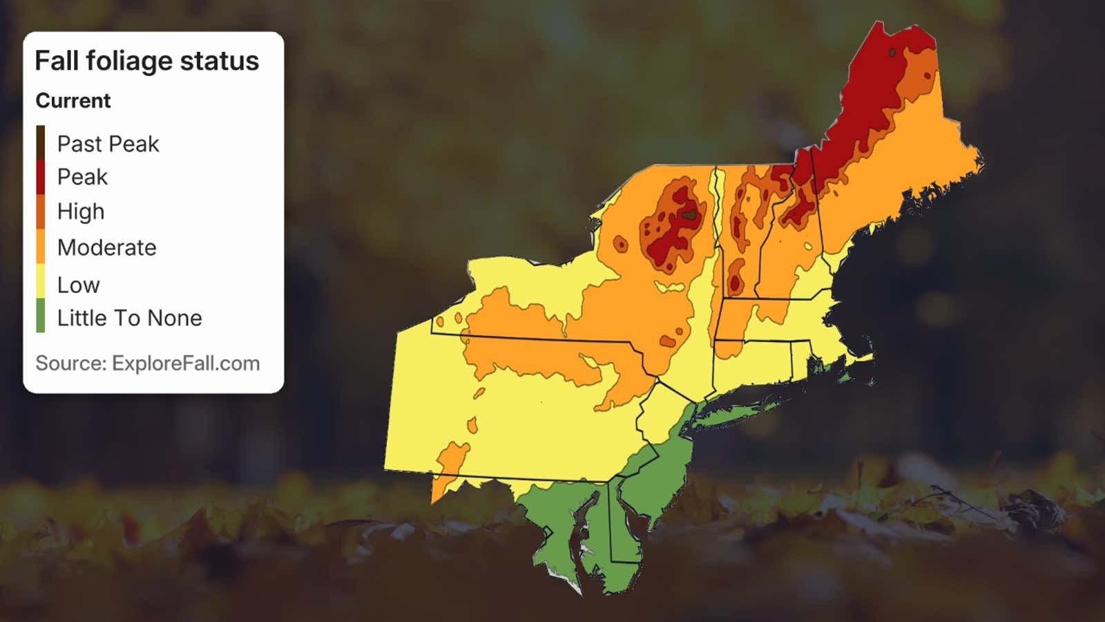 Northeast US Fall Foliage