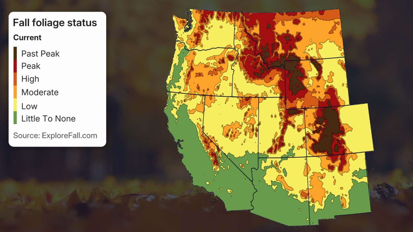 Northwest US Fall Foliage