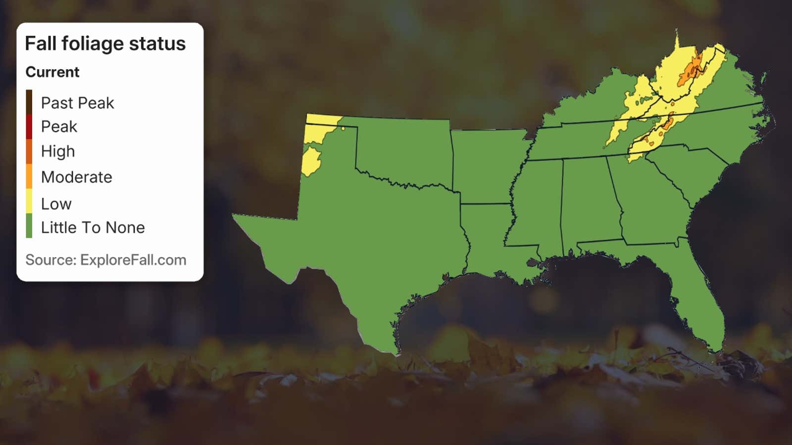 Southeast US Fall Foliage