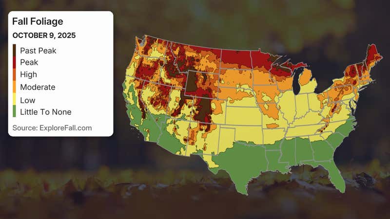 Fall is here, and that means an explosion of brilliant fall foliage. We have the latest reports of fall foliage around the U.S.