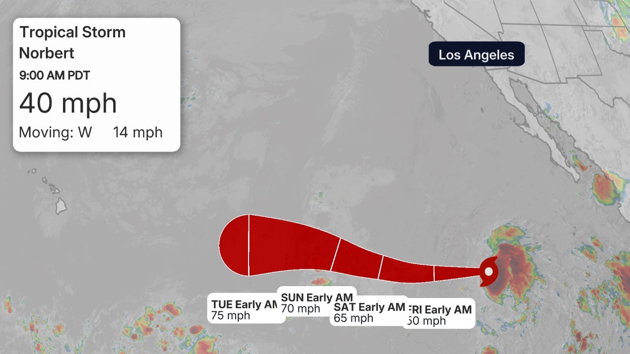 Pacific Storm Info 4