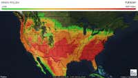 Allergies and Tree Pollen Map - Weather.com