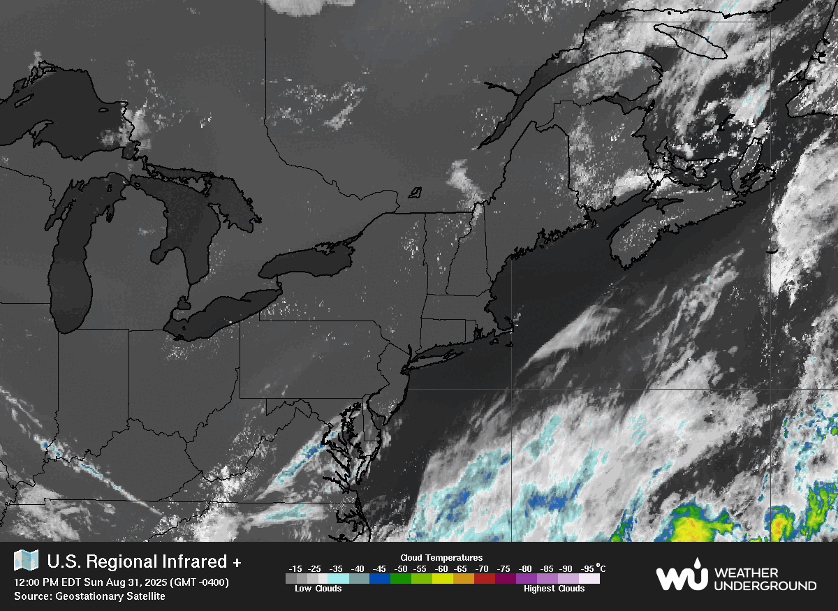 Satellite Image