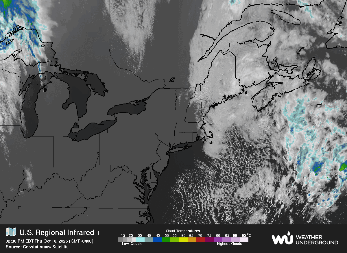 Satellite Image