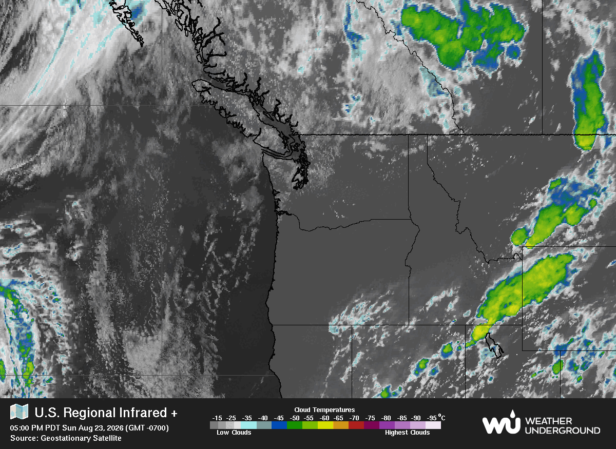Satellite Image