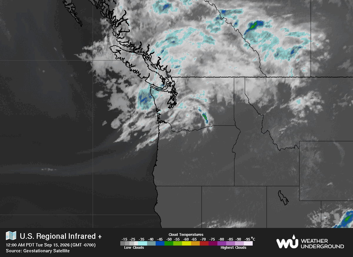 Satellite Image