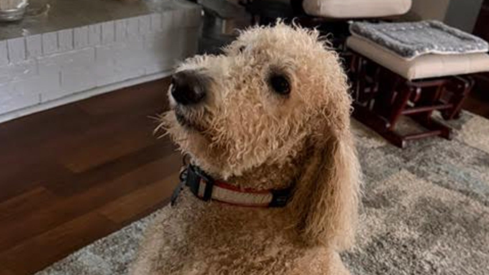 Weather Buddies: 'Sunny'