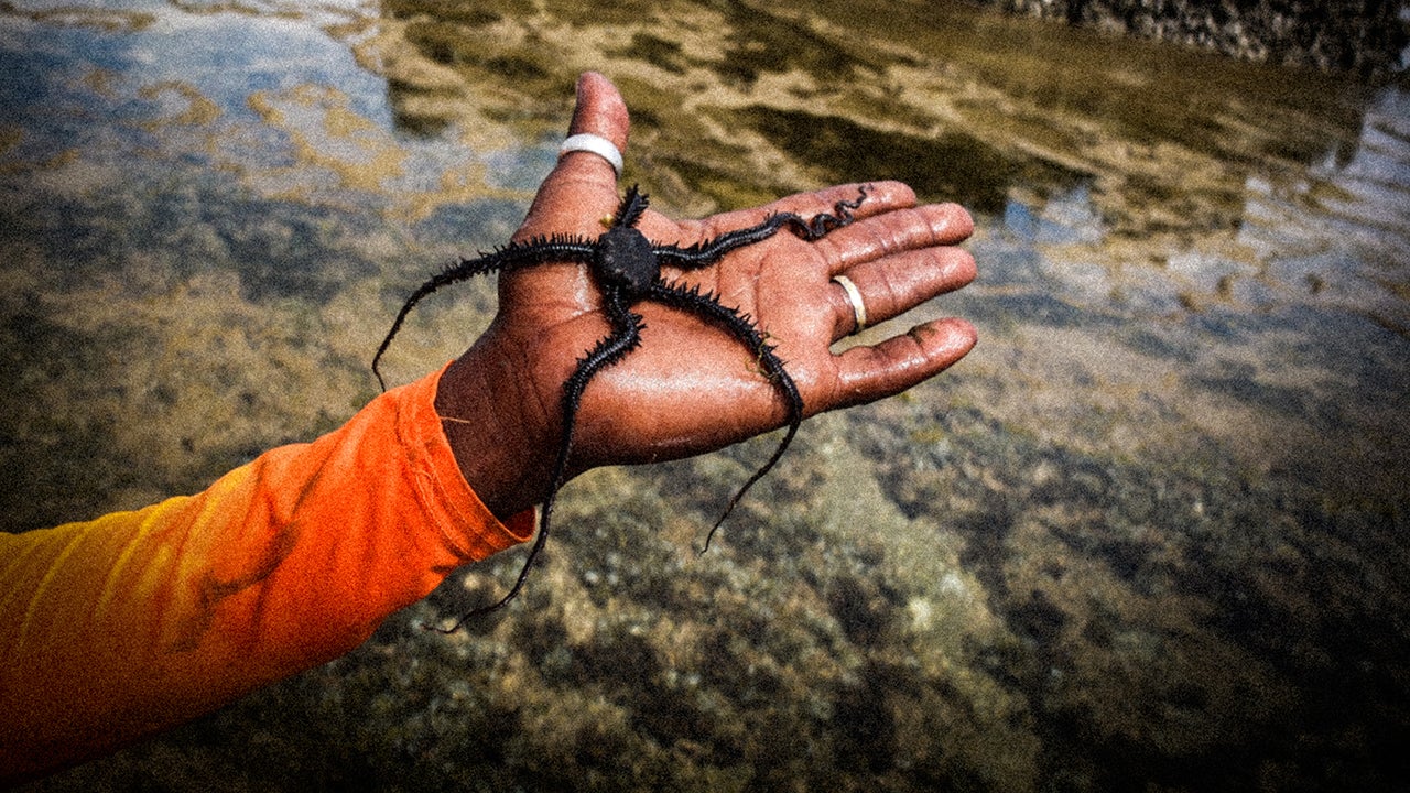 Men and the Sea: Photographing Kenyan Fishermen