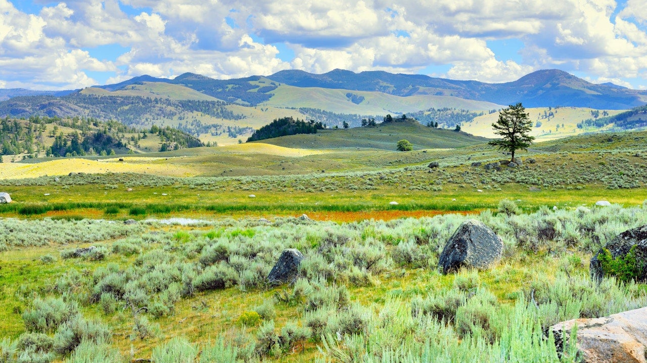10 Things You Should Know Before Visiting Yellowstone National Park 