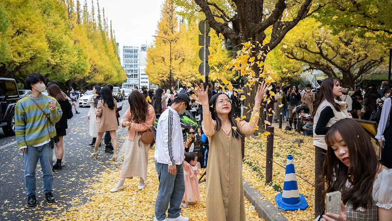 Tokyo fall foliage
