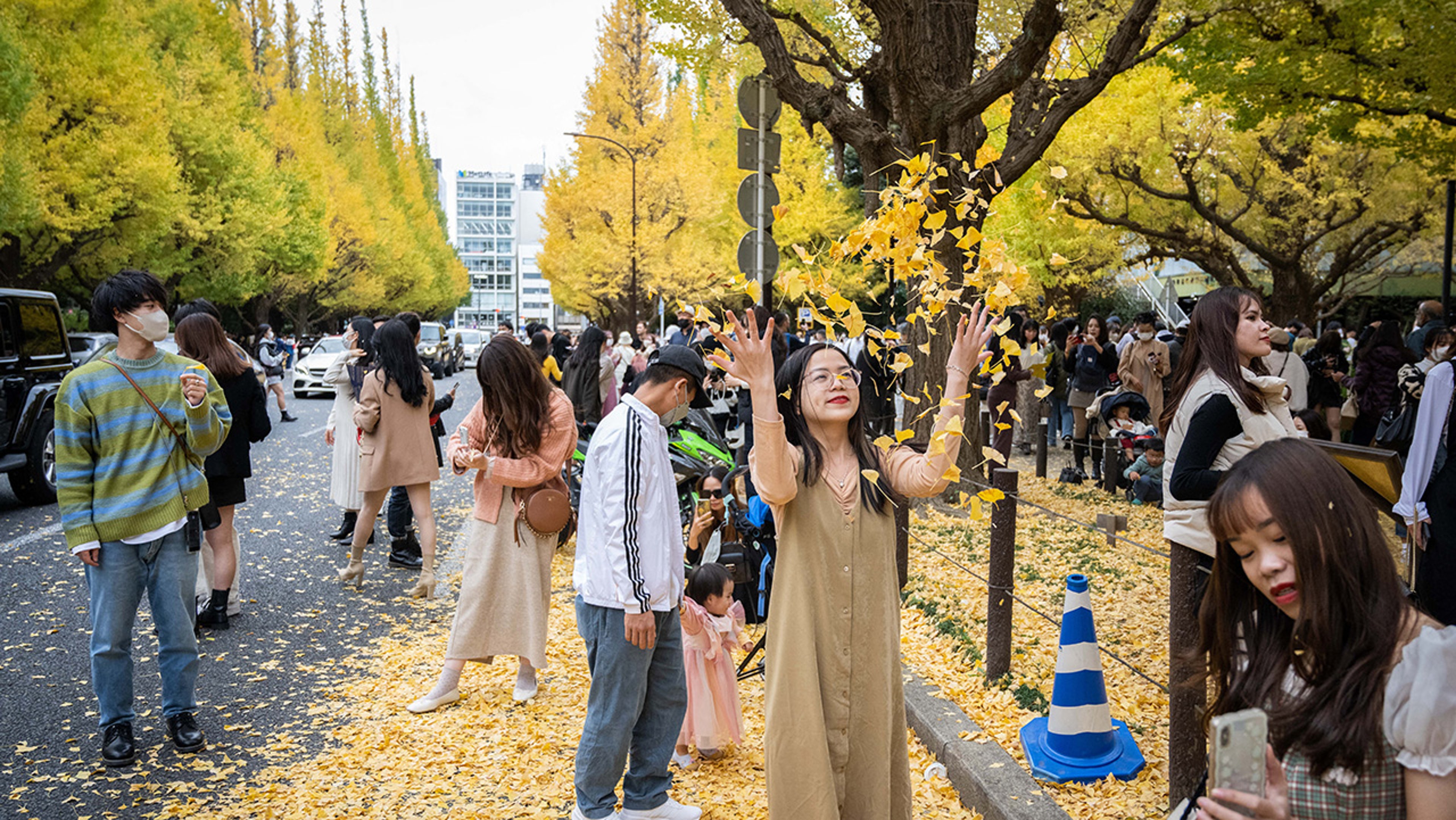 Tokyo fall foliage