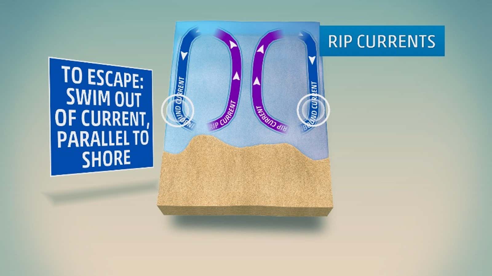 Deep Channel And Rip Current Rip Currents Are Dangerous; Here's How to Spot Them and Survive If You ...