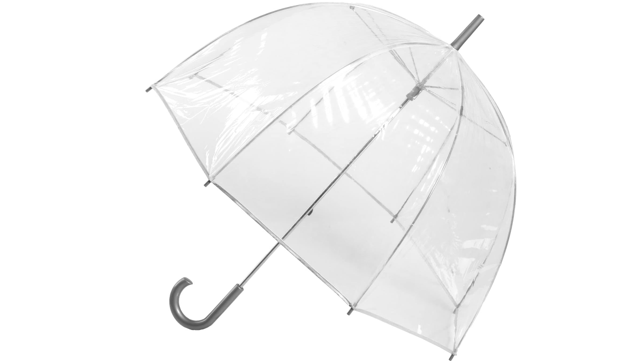 Totes Clear Bubble Umbrella