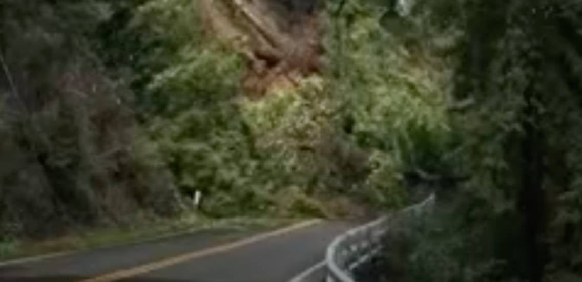 Tree Slams Down Hillside Videos from The Weather Channel