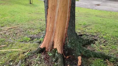 Freaky Scar From Lightning Strike - Videos from The Weather Channel