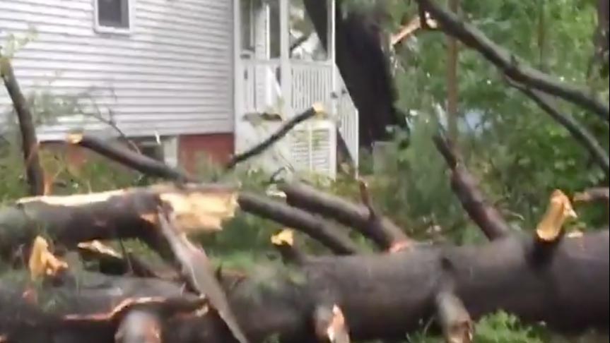 Severe Storms Down Trees and Knock Out Power to Thousands in New ...