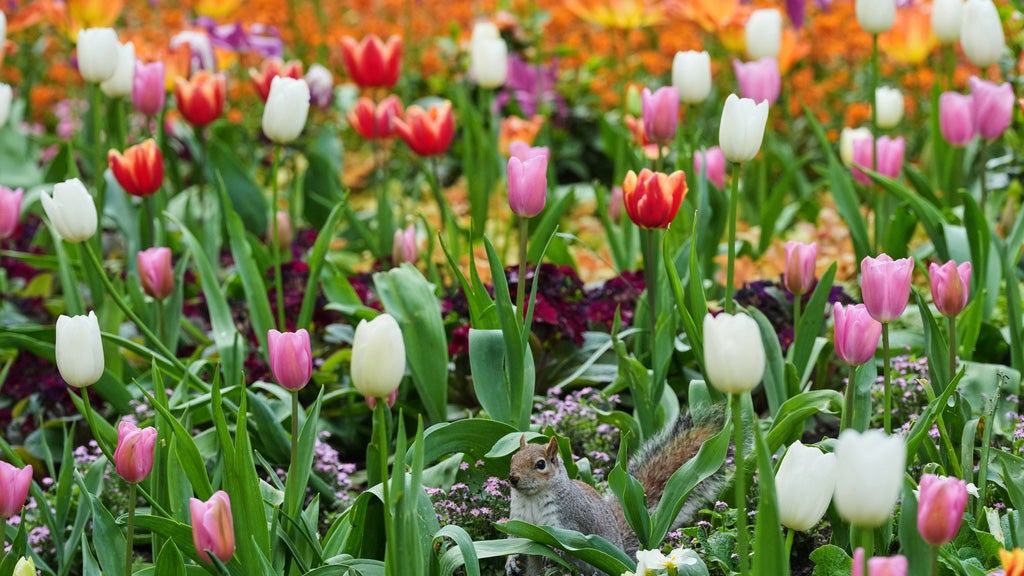 Weather Of The World: April 19