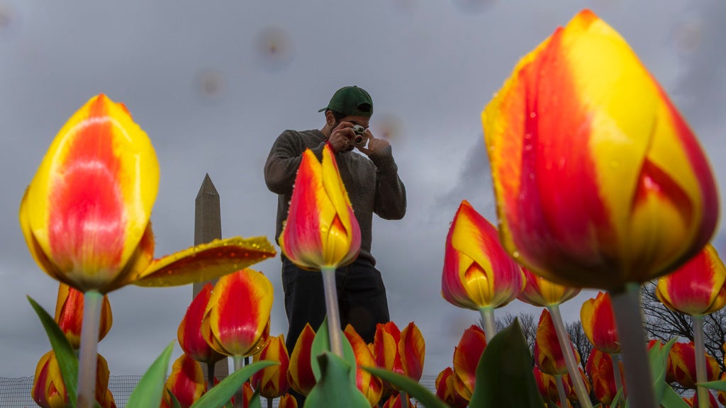 Weather Of The World: March 29