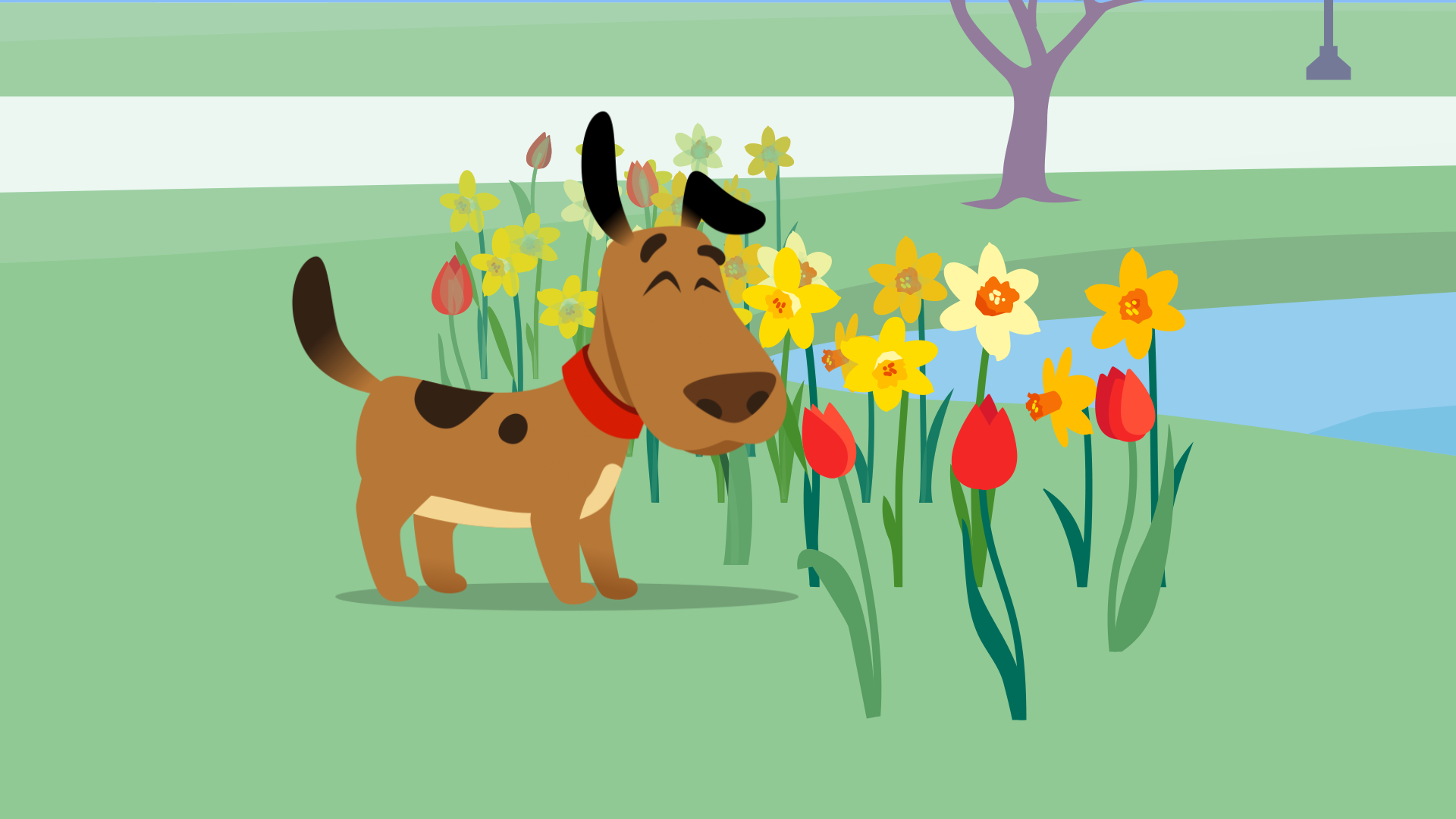 tulips_h_00075.png