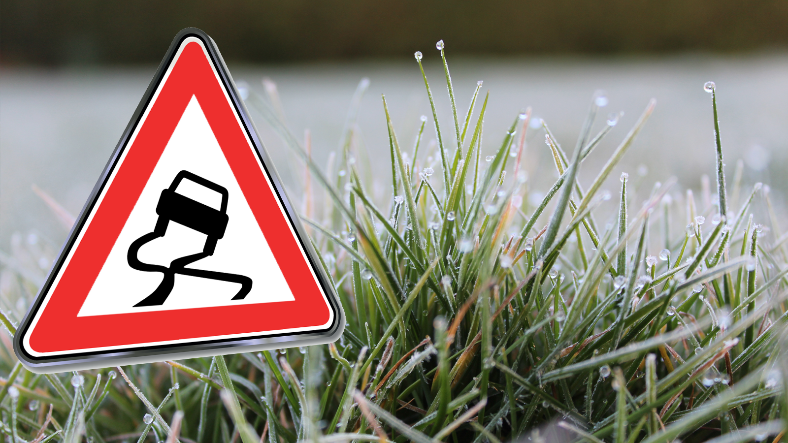 UK weather How does frost form and what are the four different types